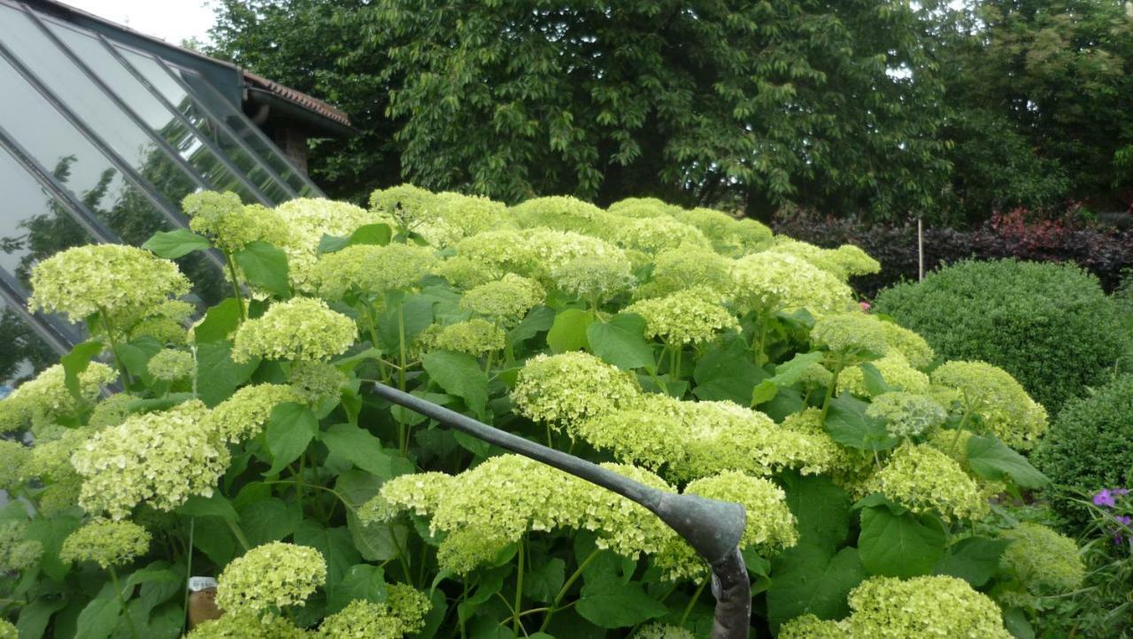 Willa De Rosmolen Ertvelde Zewnętrze zdjęcie